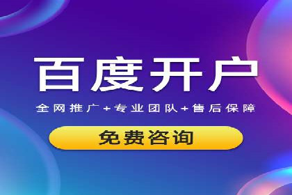 某电商平台的SEM策略与效果展示